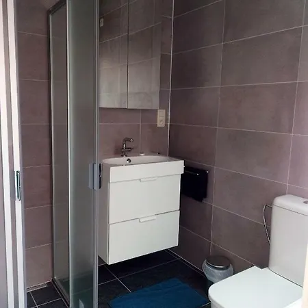 Daire De Zandparel De Panne