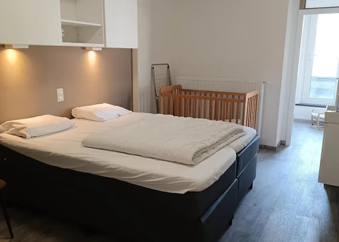 De Zandparel Apartment *